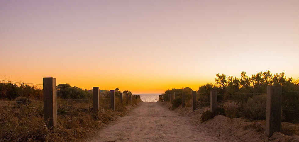 Diana_Pathway.jpg