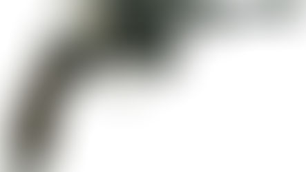 LE TIR DE COMBAT AU PISTOLET (2)