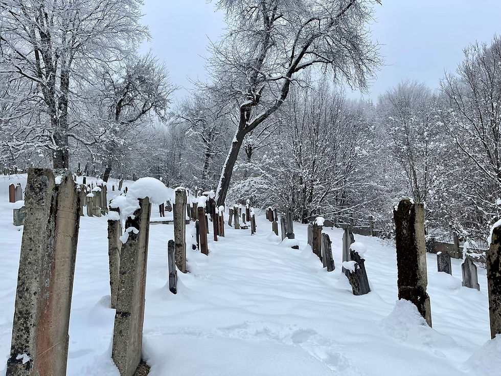 Old Jewish cemetery in a former shtetl in Eastern Europe