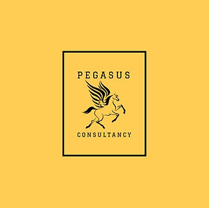 pegasus (2).jpg