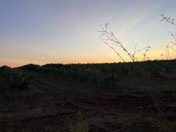 Evoramonte Route