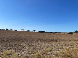 Monsaraz Route