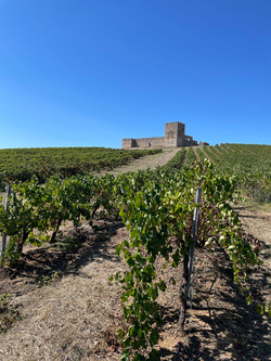 Castle of Valongo