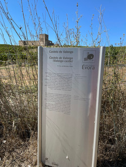 Castle of Valongo