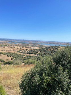 Monsaraz View