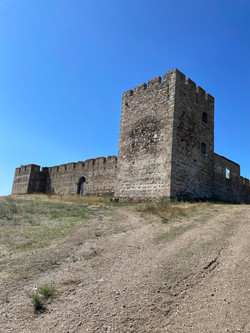 Castle of Valongo