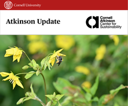 Cornell Atkinson - Newsletter