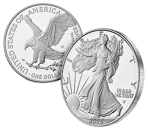 American Eagle 2025 Silver.png