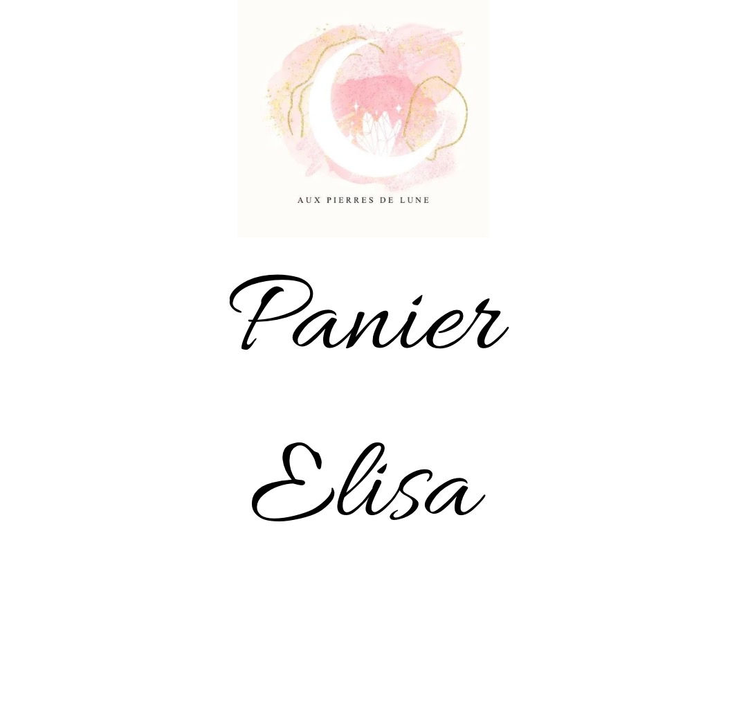 Panier Vente Story Elisa
