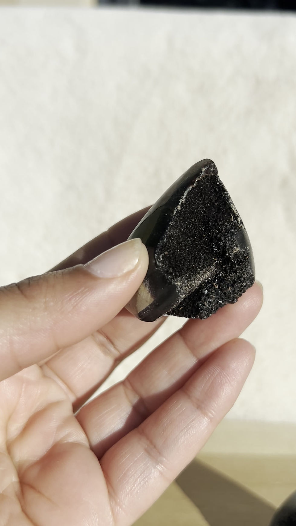 Miniature : Formes Libres en Septaria