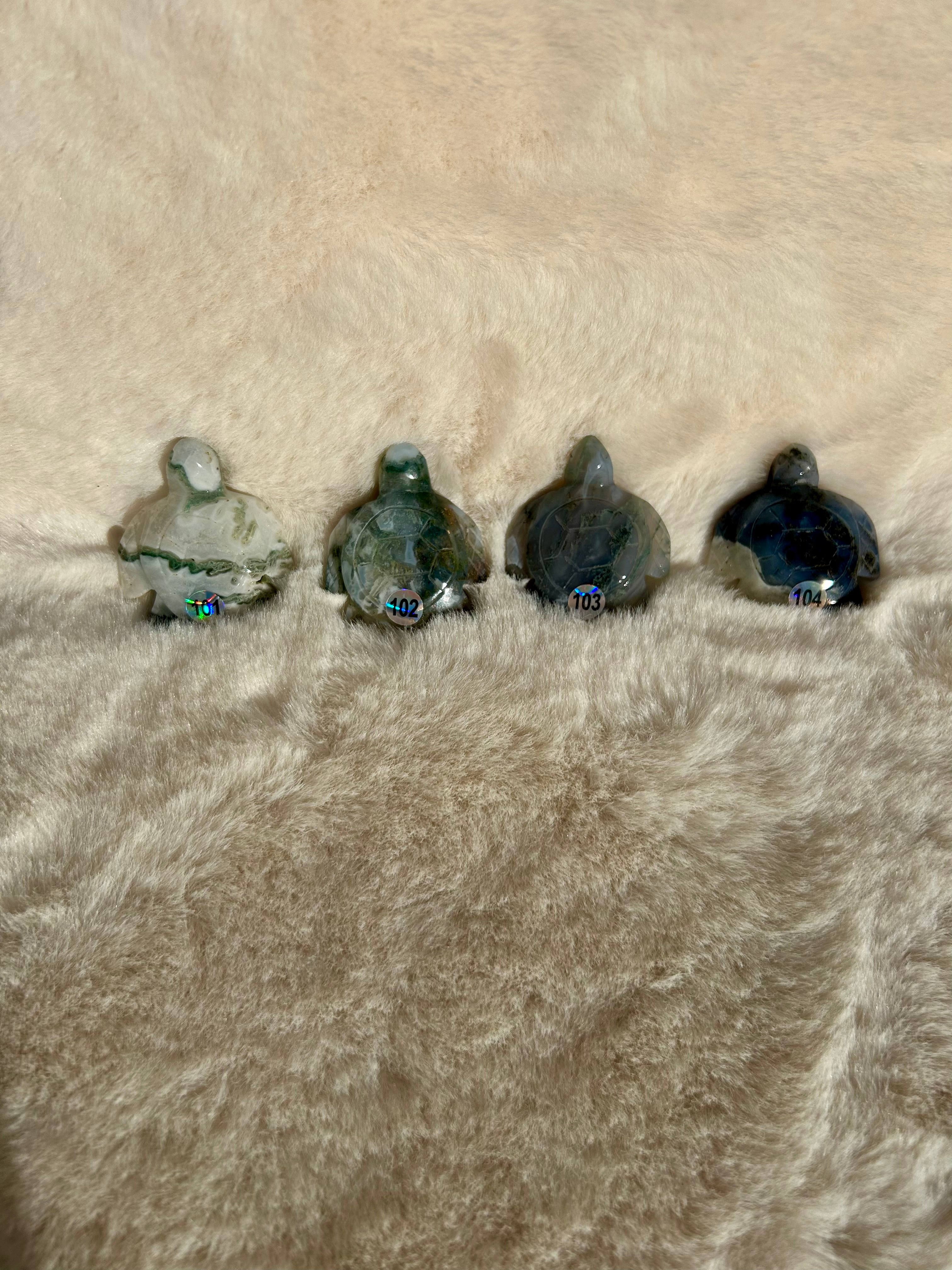 Tortue Agate Mousse - Inde