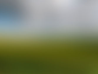 Where is Sustainability Headed Post COVID-19?