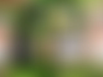 Local Holiday Gift Guide