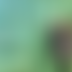 Before Deep Sky, deep work helped found a culture of innovation in Innisfail