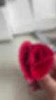 Thumbnail: Dianthus Caryophyllus