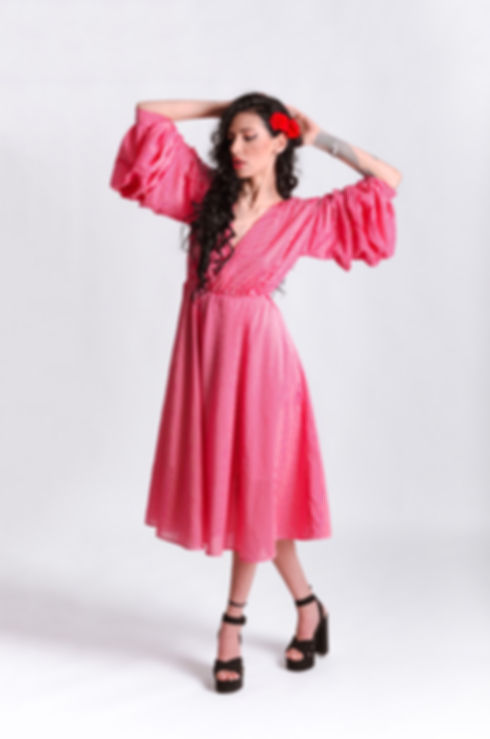 Anita Dress