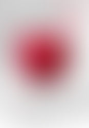 SABINNE 10 - 19.11-19.12.2025