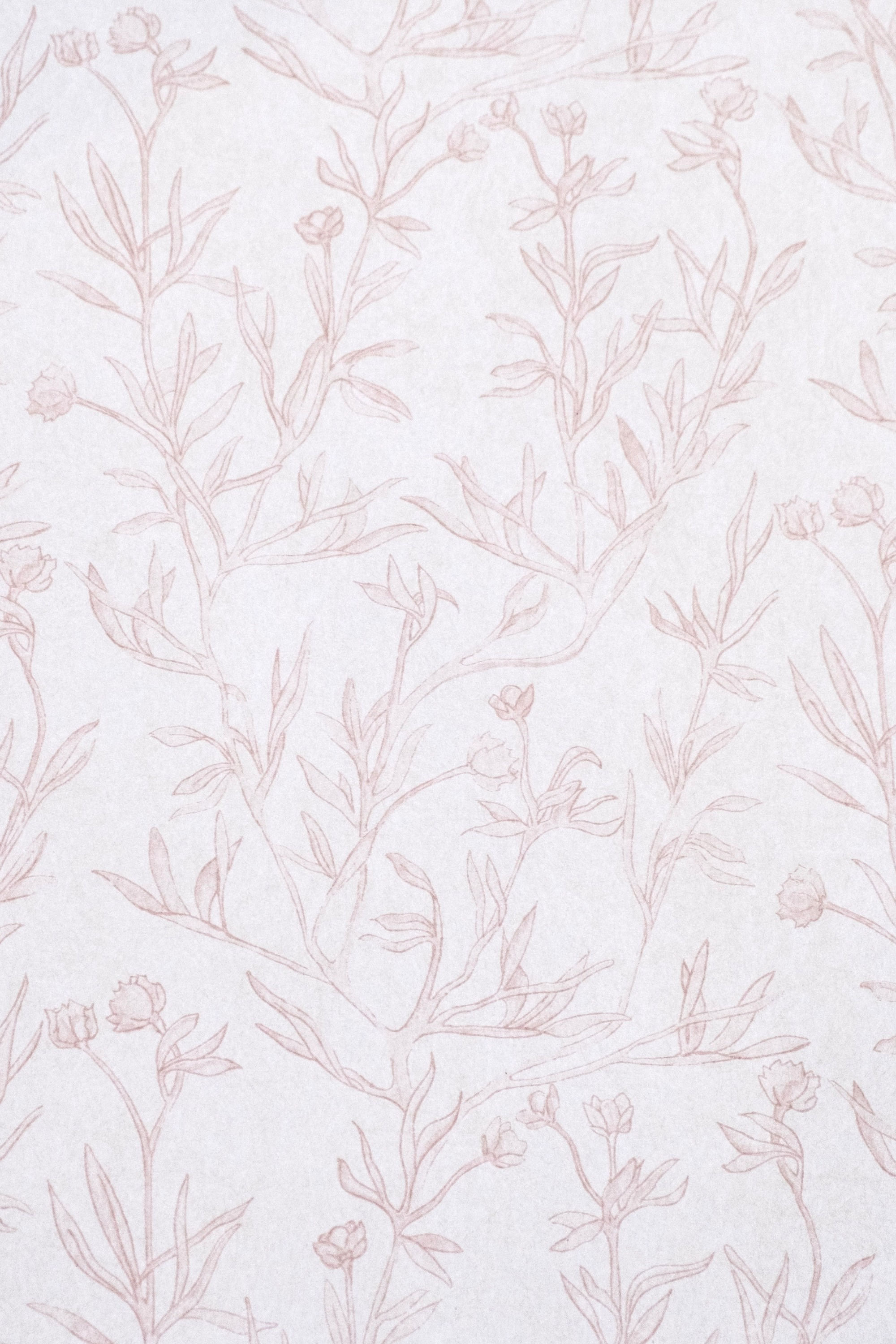 Lianas - Blush Wallpaper | 502/03