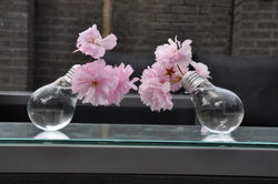 2016-04 gloeilampsetje