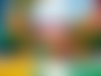 Safe and Fun Bouncing Castles for Your Next Event