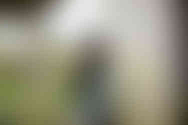 a senior girl being photographed under the bridge