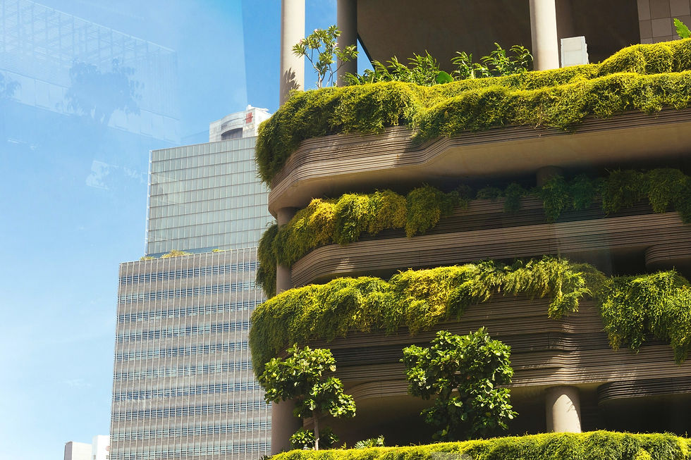 Green Building_edited_edited.jpg