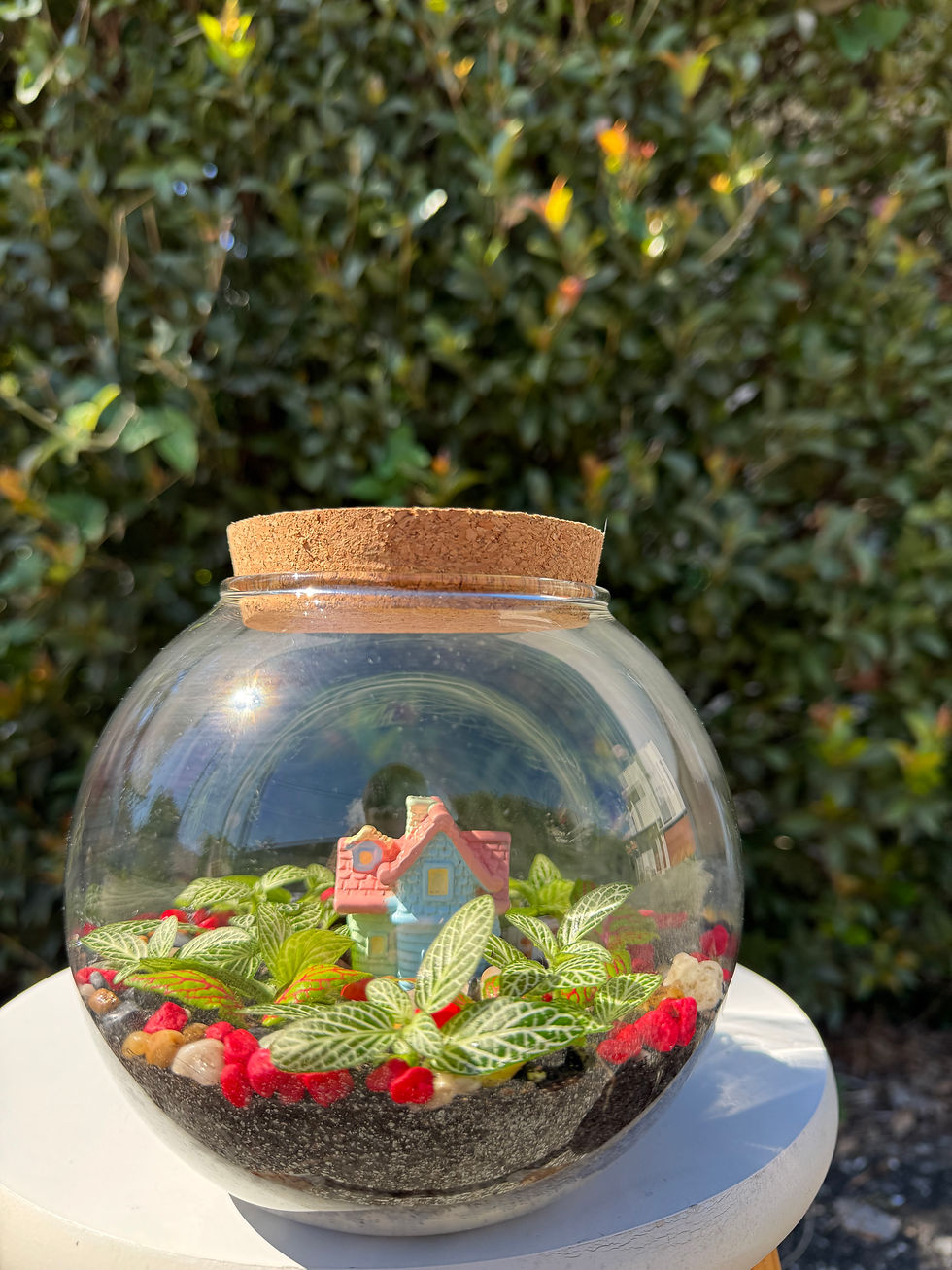 Thumbnail: Fairy garden terrarium 