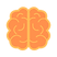 brain.png