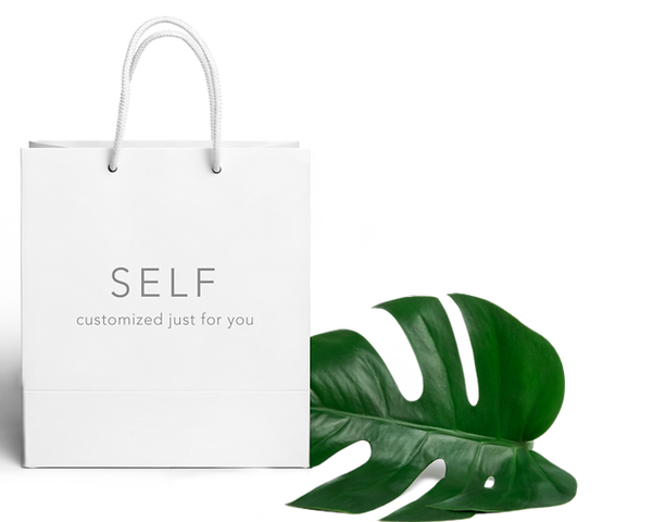 Shopping+Bag.png