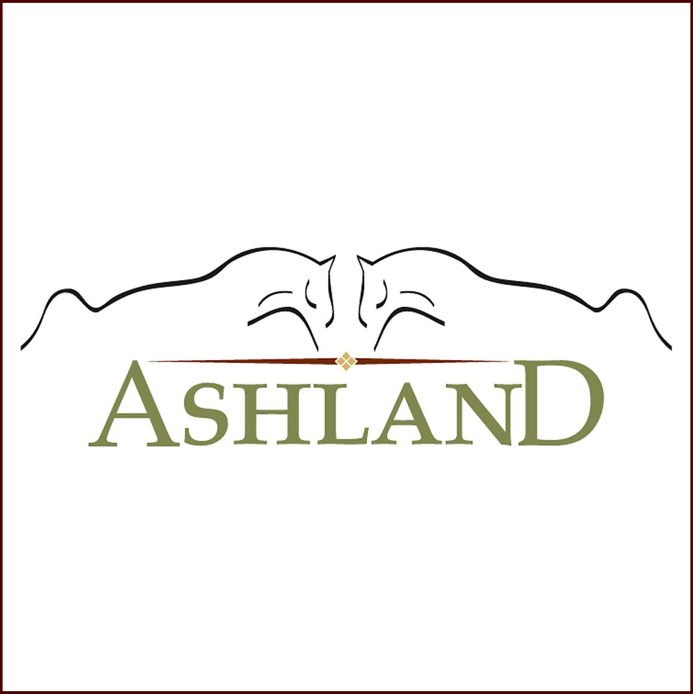 AUTUMN AT ASHLAND BREEDERS SHOW AND SPORT PONY STAR SEARCH