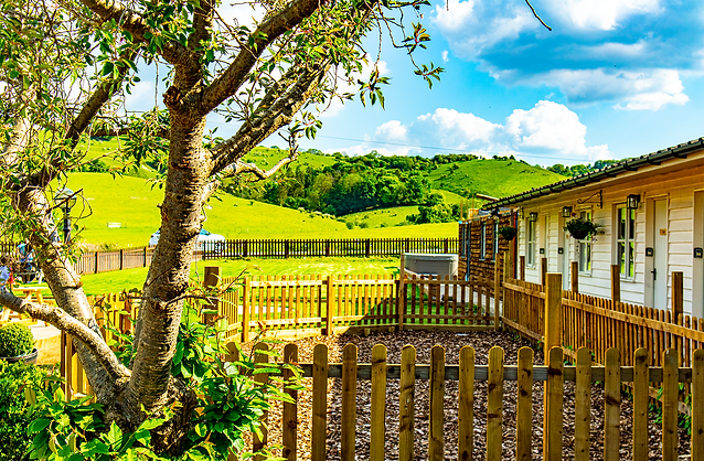Hills from patio.png