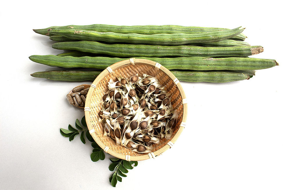 Thumbnail: Cold Pressed Oil : Moringa Seed