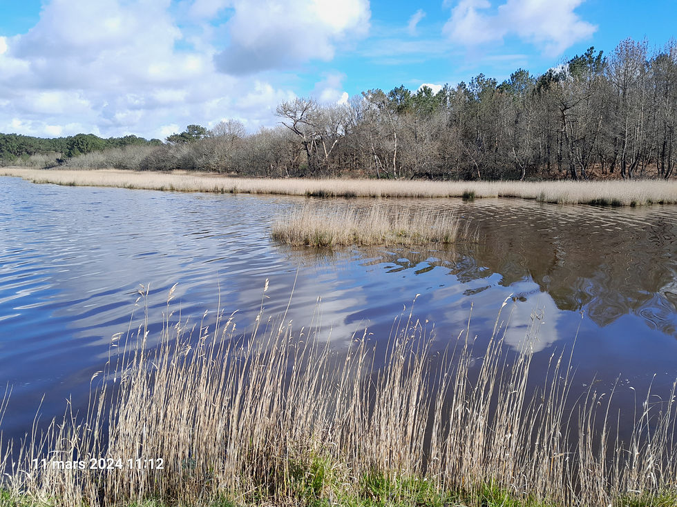 Chantier bénévole Etang de Saint Jean  --// Annulé \\--