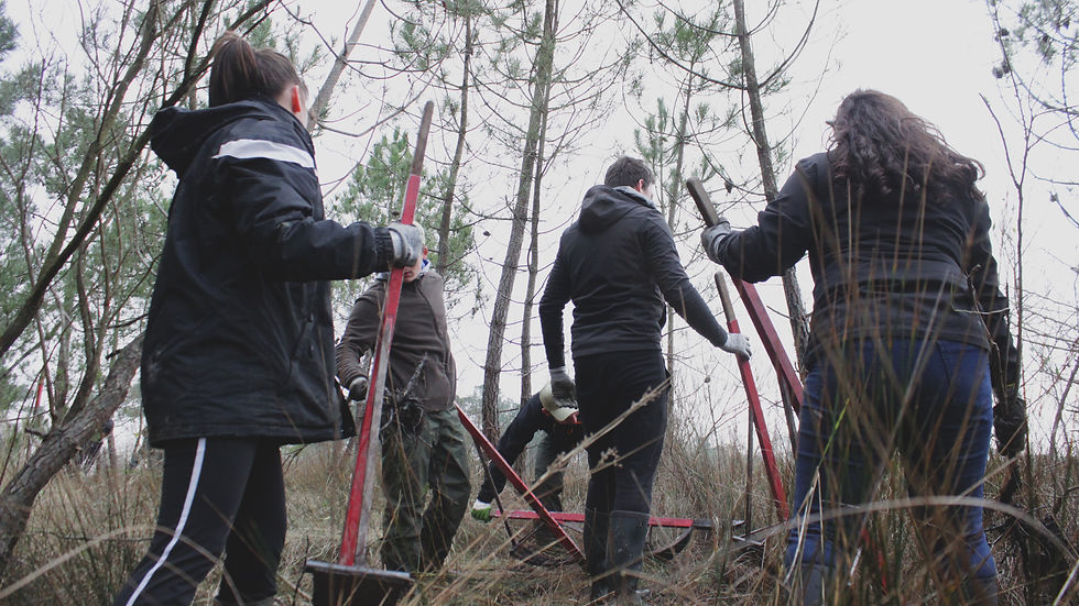 Chantier bénévole Brennec 