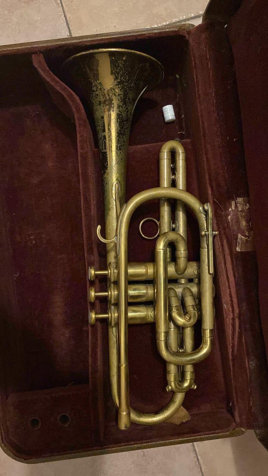 Martin Committee Cornet view 5