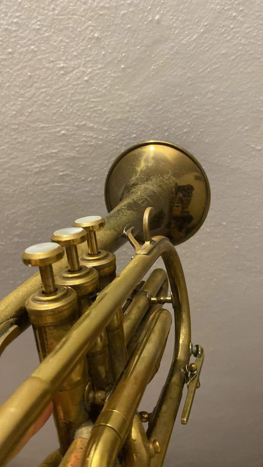Martin Committee Cornet view 4