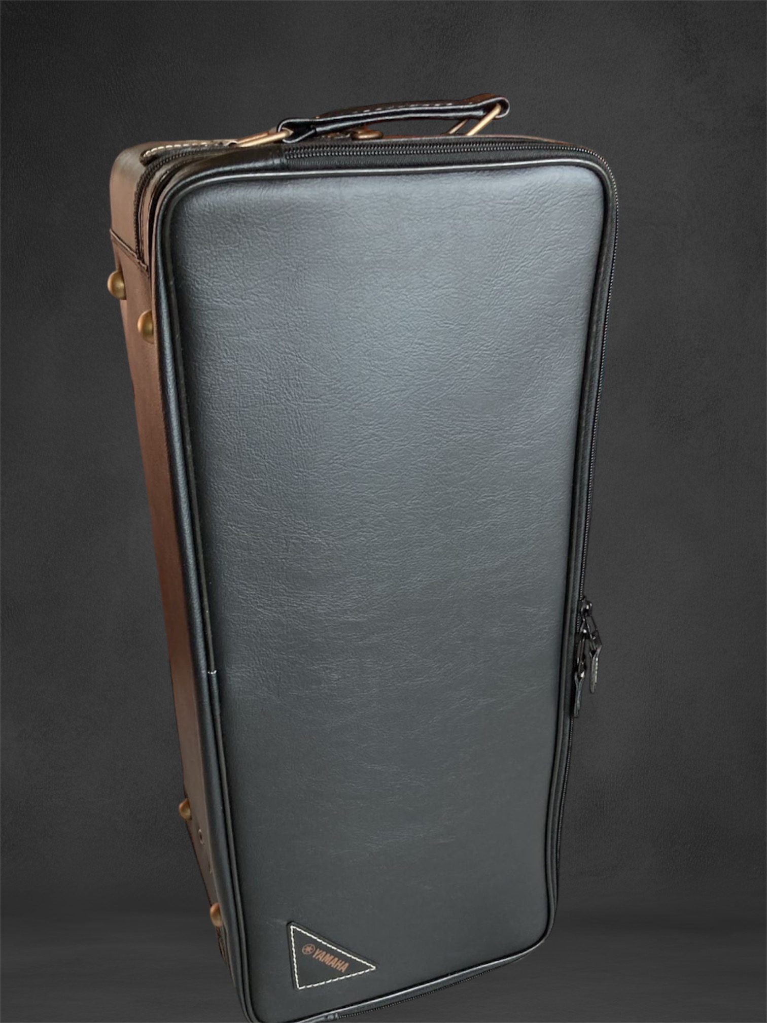 Yamaha Double Case