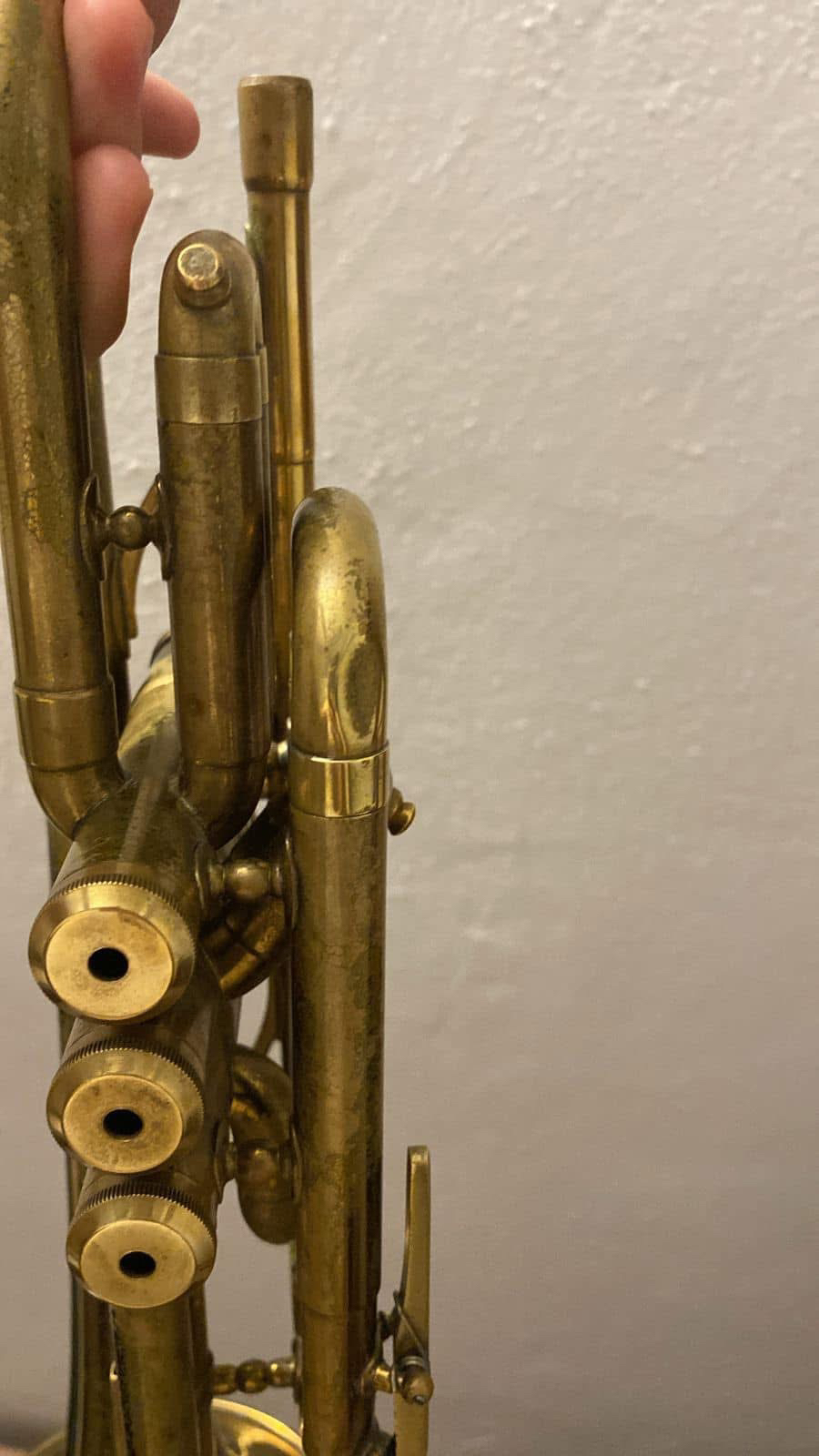 Martin Committee Cornet view 2