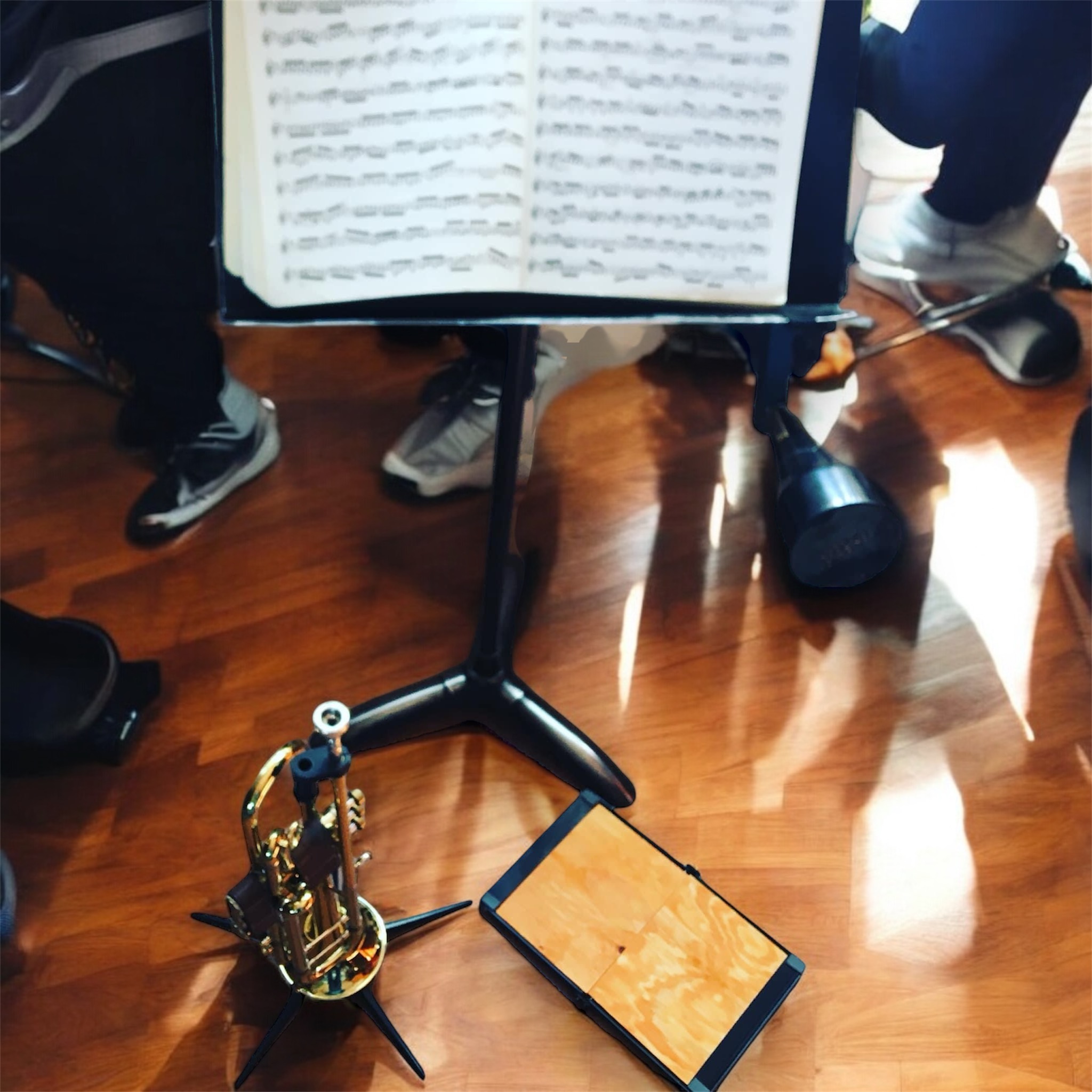 The Brass Plank view 8