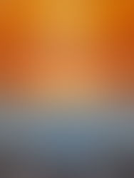 Allen Harrison: Beauty, Inspiration, Abstraction