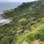 Pākiri Community Landcare