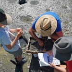 Friends of Awa Matakanakana (FOAM