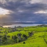 Restore-Rodney-East-Warkworth1
