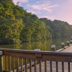 Restore-Rodney-East-Warkworth-river
