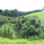 Leigh-Harbour-Valley-conservation-group