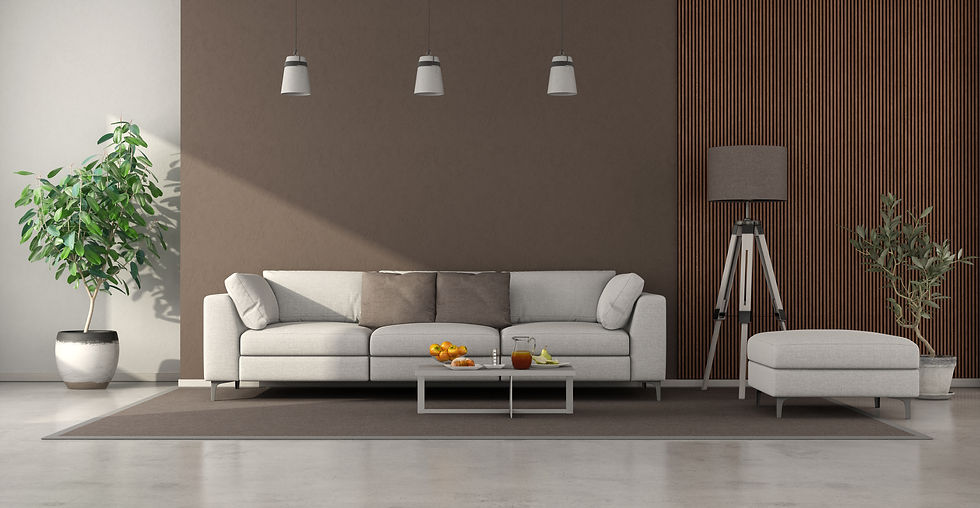 minimalist-living-room-with-white-sofa-2023-11-27-05-08-13-utc.jpg