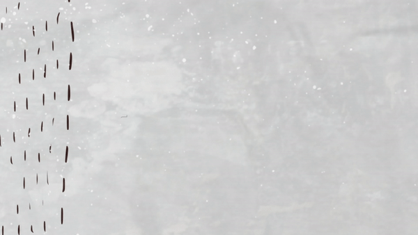 ezgif.com-video-to-gif.gif