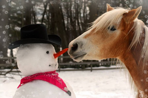 Horse and snowman
