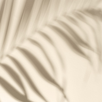 shadow of a fern on a wall.jpeg
