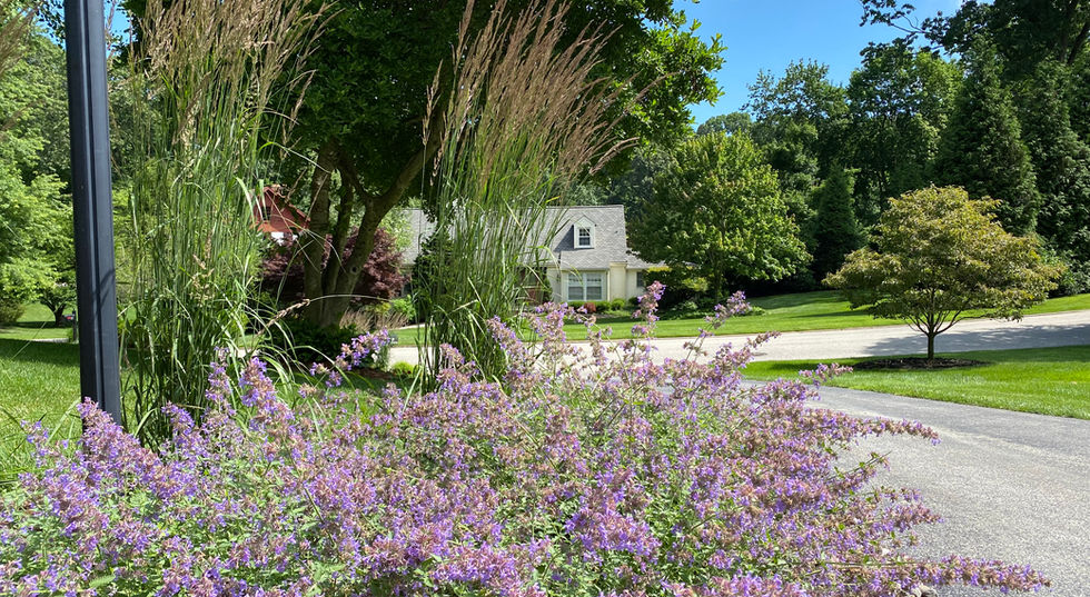 Arrowwood Landscape Design Fine Gardening and Planting